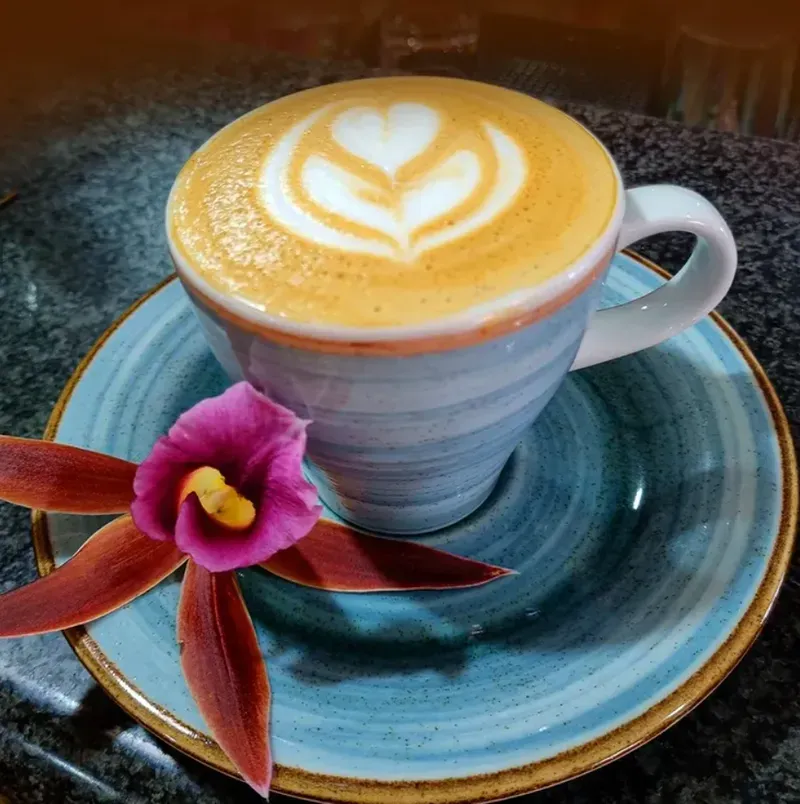 Capuchino preparado con granos de café de especialidad